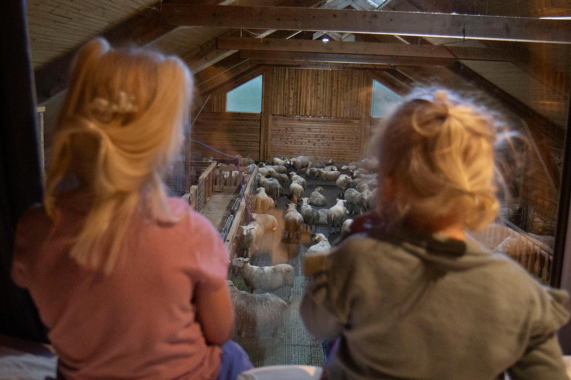 Unik fjøsleilighet Levanger Eksteriør bilde